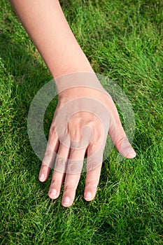 Woman hand over green grass