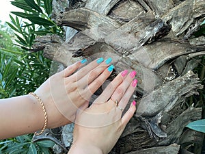 Woman hand on palm tree trunk. Concept of environment protection, nature care. Closeup image of girl palm touching tree bark.