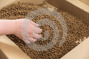 A woman hand picks up dry cat food. The food is in bulk in an open cardboard box. Triangular brown pellets. Pet supplies.