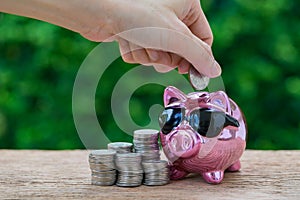 Woman hand putting coin in glossy pink piggy bank with stack of