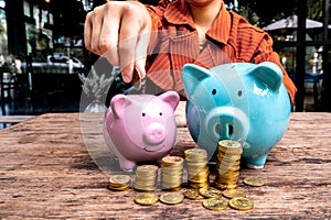 Woman hand putting gold coin into pink piggy bank with golden coins growth bar graph, step up growing business to success and