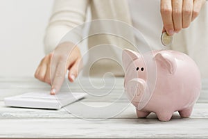 Woman hand putting money coin into piggy for saving money wealth and financial concept