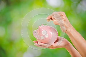 Woman hand putting money coin in to piggy for saving money wealth and financial concept with green tree in background