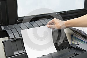 Woman hand putting a sheet of paper