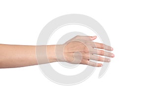 Woman hand ready for handshaking