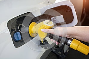 Woman hand refilling and pumping gasoline oil the car with fuel at he refuel station, industry or transportation concept