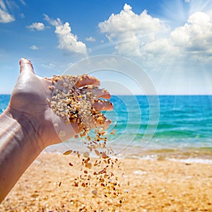 Woman hand scatter Seashells sand on the background of the sea,