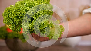 Woman hand shake water off lettuce leaves - extreme close up