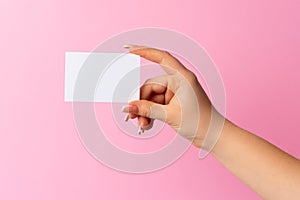 Woman hand showing blank business card on pink background.