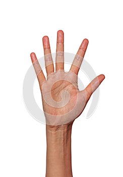 Woman hand showing five fingers  on white photo