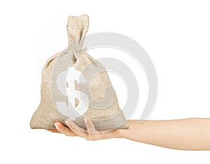 Woman hand with small bag