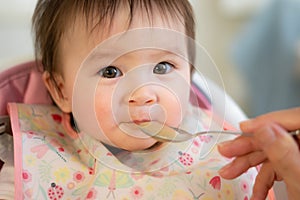 woman hand with spoon feeding puree to happy and adorable baby girl in a bib sitting on eating chair in child healthy nutrition