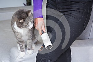 Woman hand with sticky roller removing animal hairs and fluff from from clothes