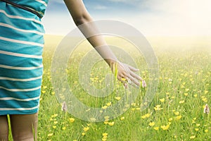 Woman hand touching blossom flowers