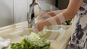 Woman hand washing lettuce