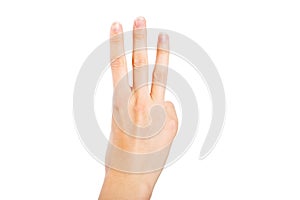 Woman Hand on White Background