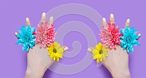 Woman hand and yellow, blue, pink flowers isolated on background. Summer and spring concept. Fashion design and manicure. Top view