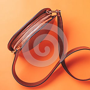 Woman handbag or purse reptile leather style in brown color closeup, top view. Minimal fashion background with saddle