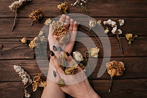 Woman hands with beautiful dry flowers.