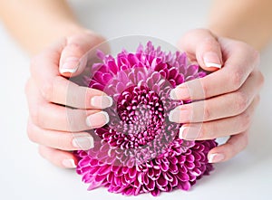 Woman hands with beautiful French manicure