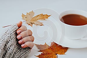 Woman hands with beautiful nude manicure holding autumn leaves. Female Manicure, natural look. Nails care. Self care