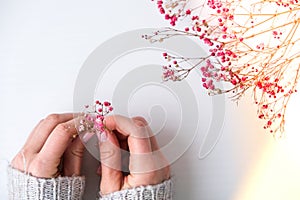 Woman hands with beautiful nude manicure holding delicate pink Gypsophila or baby& x27;s breath flowers. Female Manicure