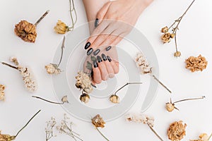 Woman hands with black color manicure among dry flowers.