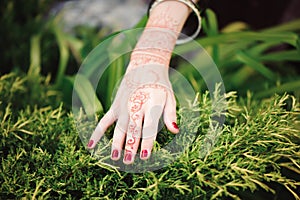 Woman Hands with black mehndi tattoo. Hands of Indian bride girl with black henna tattoos. Fashion.