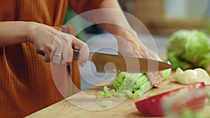 Woman hands chopping celery on cutting board. Housewife cooking fresh vegetables