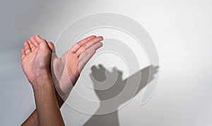 Woman hands creating silhouette shadow of animal on white wall background. Hand shadow of bird