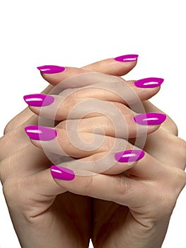 Woman hands crossed with fucsia nails manicure photo