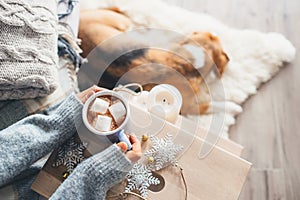Woman hands with cup of hot chocolate close up image; cozy home; sleeping dog; christmas time photo