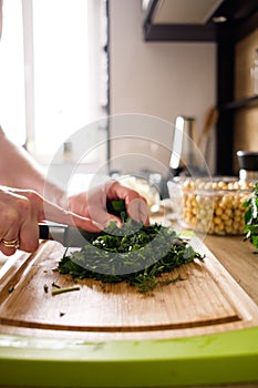 Woman hands, cutting onions