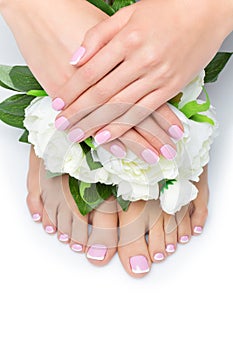 Woman hands and feet with french manicure