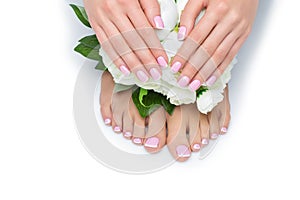 Woman hands and feet with french manicure