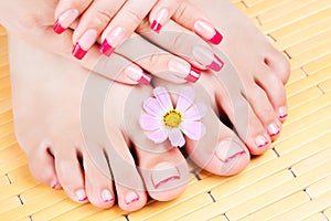 Woman hands and feet with pink manicure