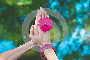 Woman hands with flower in yoga mudra gesture outdoor in nature