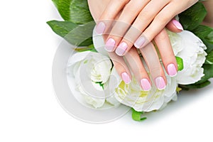 Woman hands with french manicure