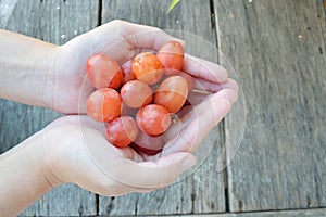 Woman hands with freshly harvested red grapes on a wooden background.