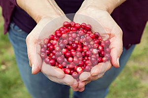 Woman hands full of berries