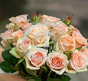 woman hands gently holding a lavish bouquet of roses