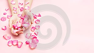 The woman hands hold rose flowers on a pink background. A thin wrist and natural manicure. Cosmetics for a sensitive