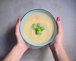 Woman hands holding bowl with home made vegetable soup - Healthy food concept