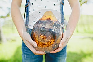 Woman hands holding coconut outdoors