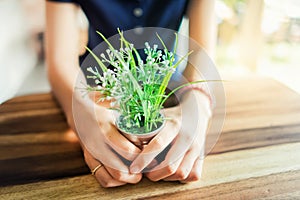 Woman hands holding a flower pot on wooden desk or wait something people at coffee shop.