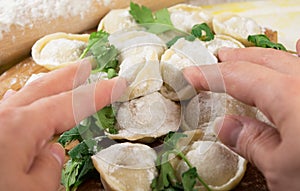 Woman hands holding homemade uncooked ravioli
