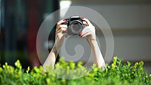 Woman hands holding photo camera behind park bush, private detective, spying