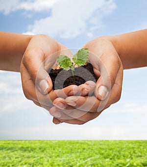 Woman hands holding plant in soil