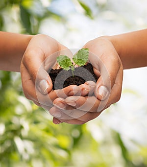 Woman hands holding plant in soil