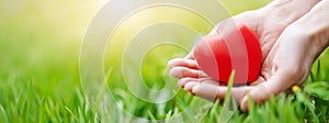 Woman hands holding red heart shape on the green grass background.